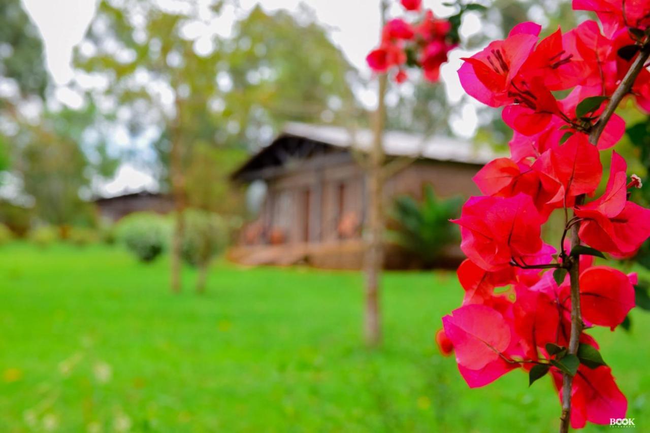 Hotel Las Azaleas Jardín América Eksteriør billede
