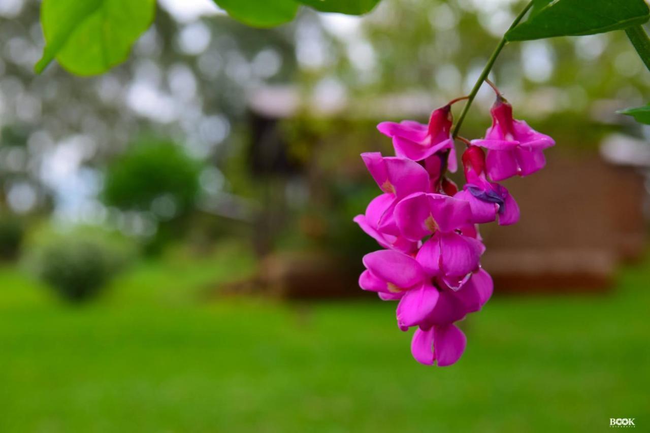 Hotel Las Azaleas Jardín América Eksteriør billede