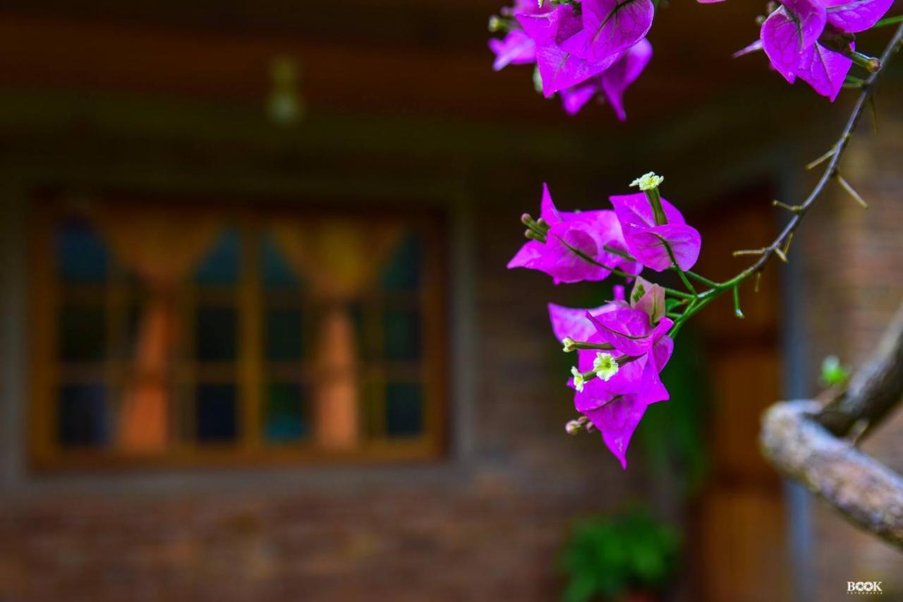 Hotel Las Azaleas Jardín América Eksteriør billede