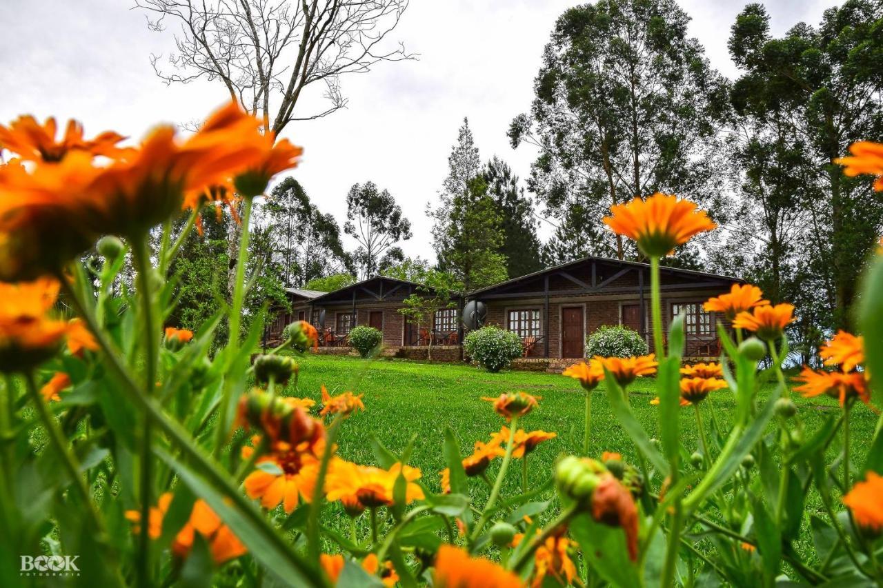 Hotel Las Azaleas Jardín América Eksteriør billede